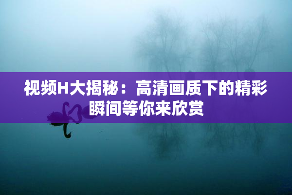 视频H大揭秘：高清画质下的精彩瞬间等你来欣赏