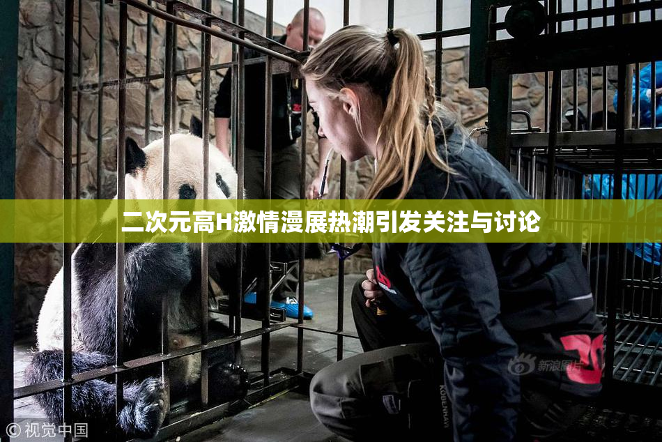 二次元高H激情漫展热潮引发关注与讨论