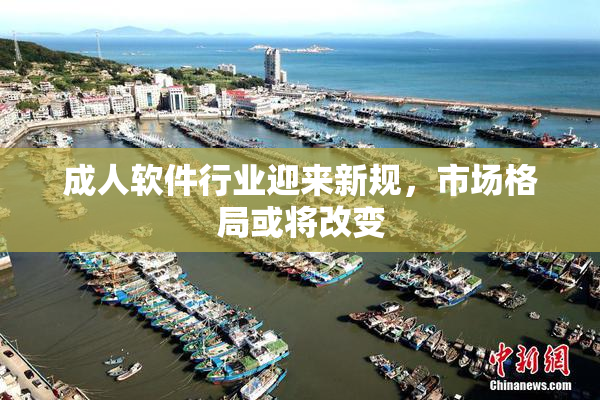 成人软件行业迎来新规，市场格局或将改变