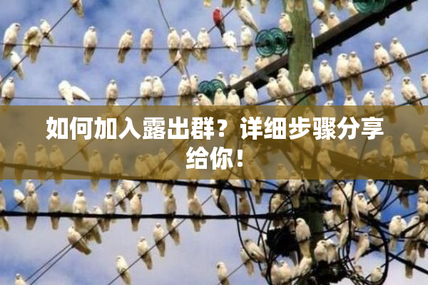 如何加入露出群？详细步骤分享给你！