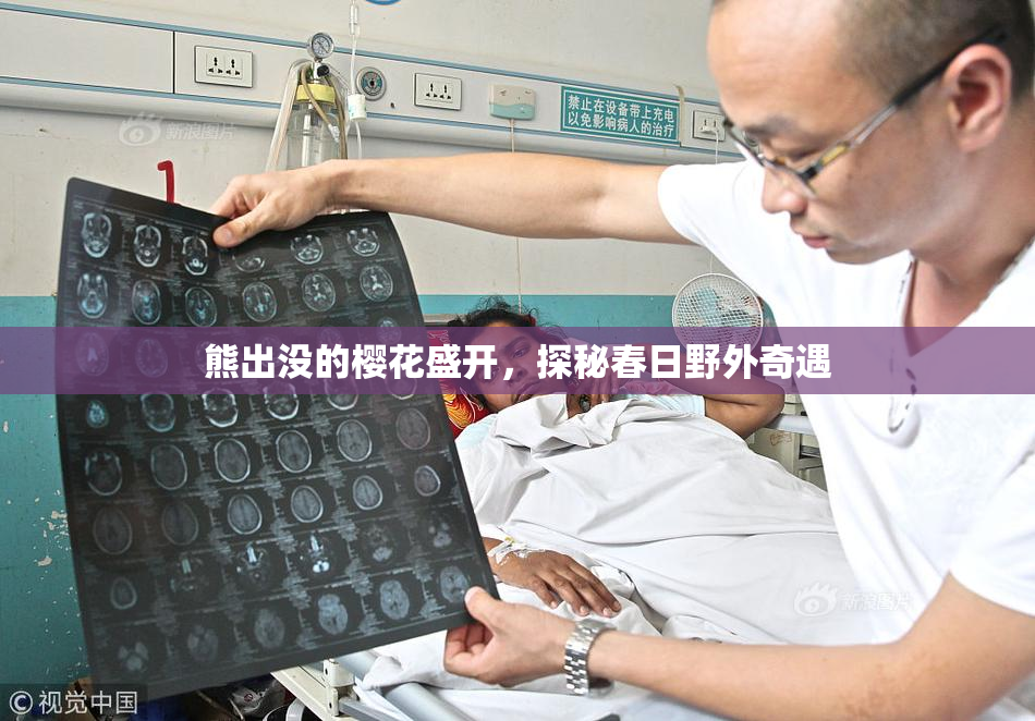 熊出没的樱花盛开，探秘春日野外奇遇