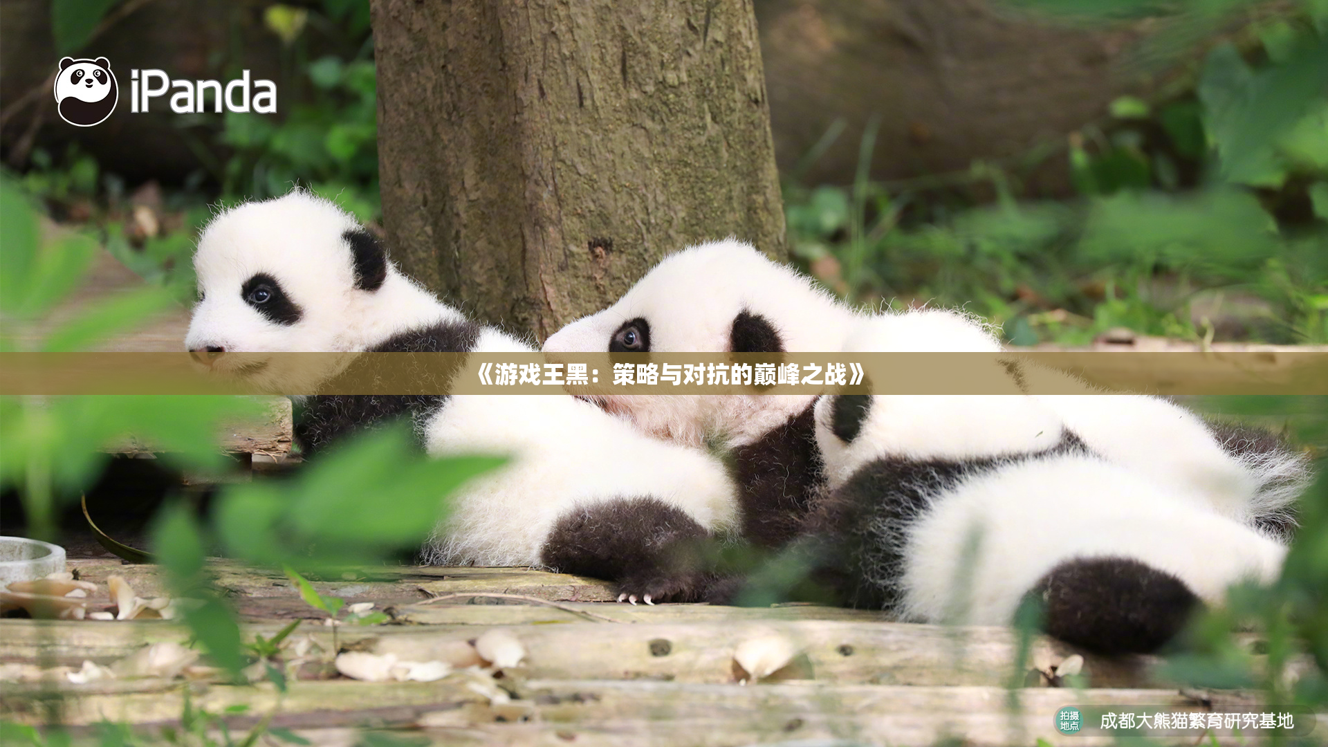 《游戏王黑：策略与对抗的巅峰之战》