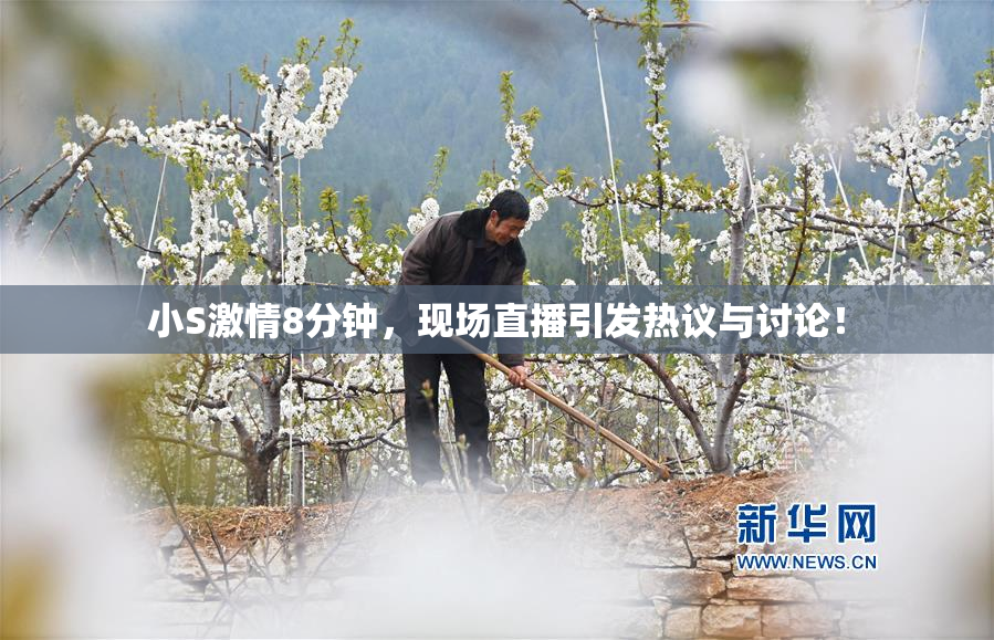 小S激情8分钟，现场直播引发热议与讨论！