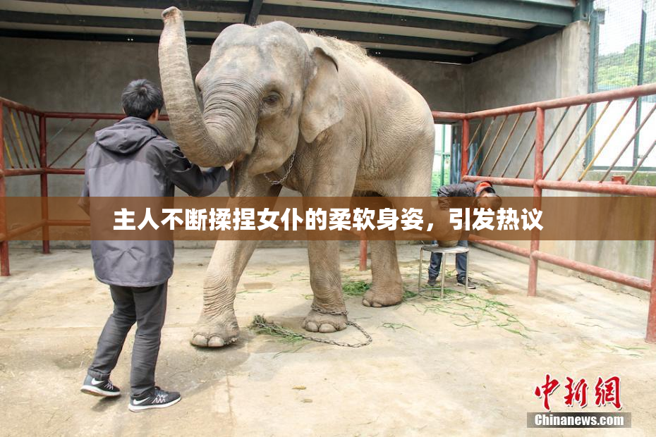 主人不断揉捏女仆的柔软身姿，引发热议