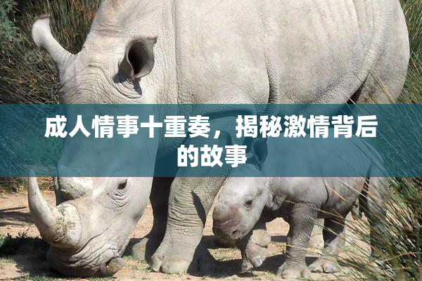 成人情事十重奏，揭秘激情背后的故事