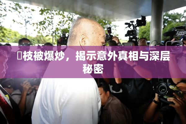 狛枝被爆炒，揭示意外真相与深层秘密