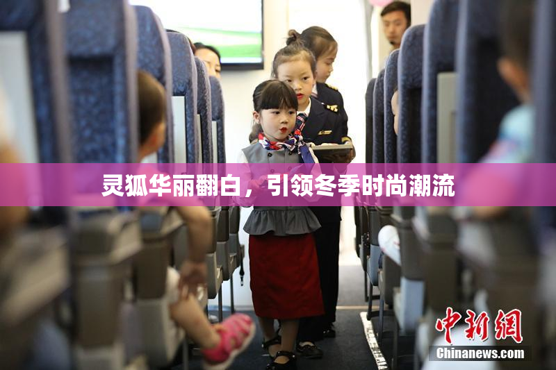 灵狐华丽翻白，引领冬季时尚潮流