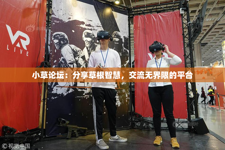 小草论坛：分享草根智慧，交流无界限的平台