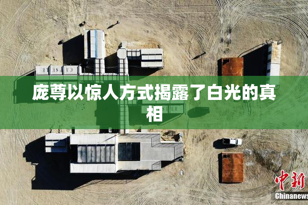 庞尊以惊人方式揭露了白光的真相