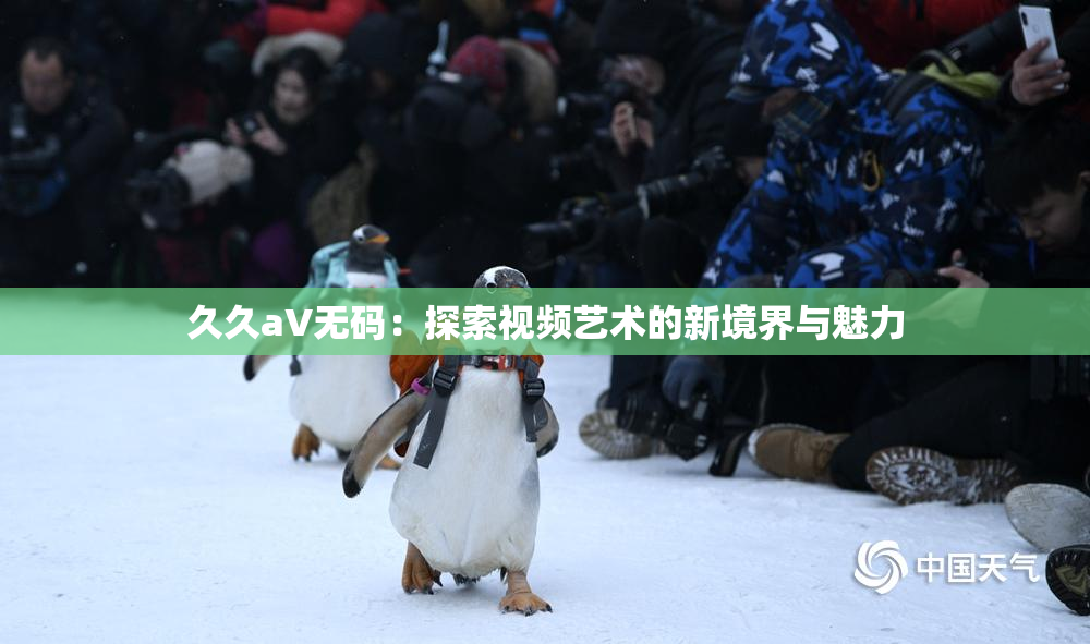 久久aV无码：探索视频艺术的新境界与魅力