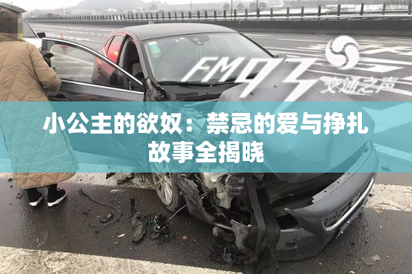 小公主的欲奴：禁忌的爱与挣扎故事全揭晓