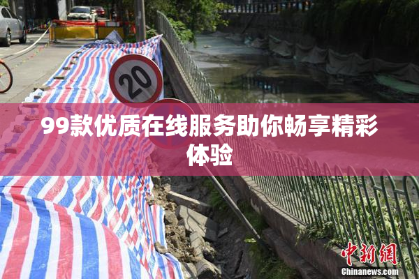 99款优质在线服务助你畅享精彩体验