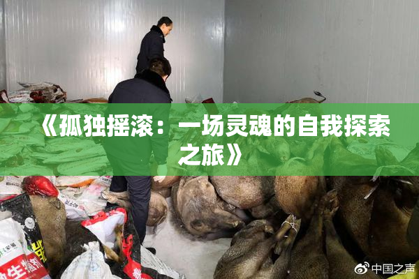 《孤独摇滚：一场灵魂的自我探索之旅》