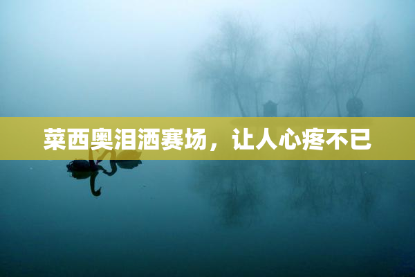 菜西奥泪洒赛场，让人心疼不已