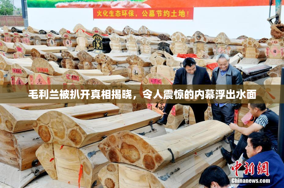 毛利兰被扒开真相揭晓，令人震惊的内幕浮出水面