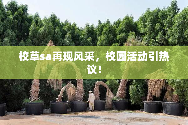 校草sa再现风采，校园活动引热议！