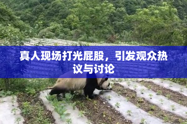 真人现场打光屁股，引发观众热议与讨论