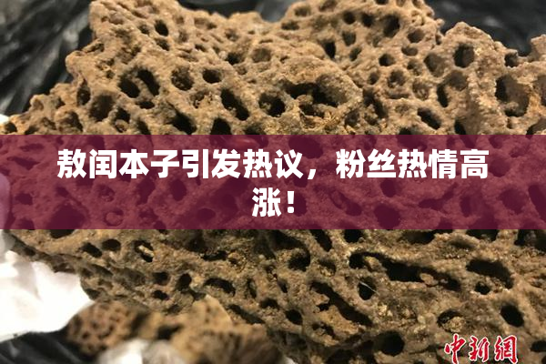 敖闰本子引发热议，粉丝热情高涨！