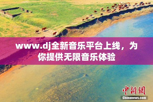 www.dj全新音乐平台上线，为你提供无限音乐体验