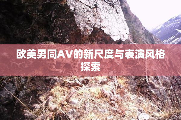 欧美男同AV的新尺度与表演风格探索