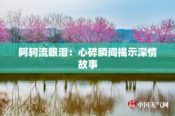 阿轲流眼泪：心碎瞬间揭示深情故事