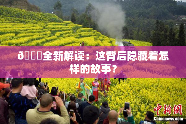 🈚全新解读：这背后隐藏着怎样的故事？
