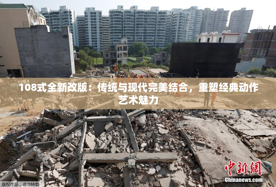 108式全新改版：传统与现代完美结合，重塑经典动作艺术魅力