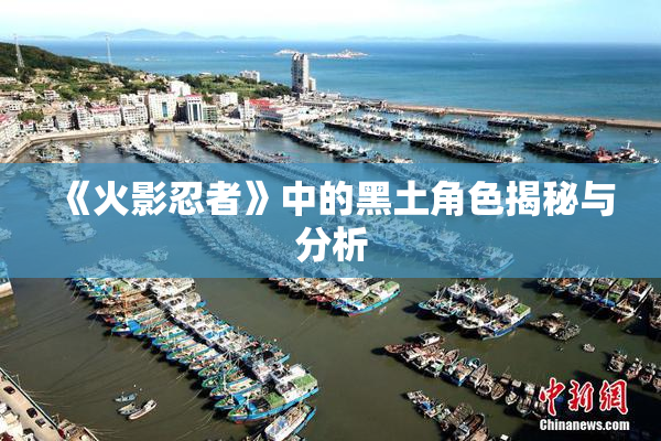 《火影忍者》中的黑土角色揭秘与分析