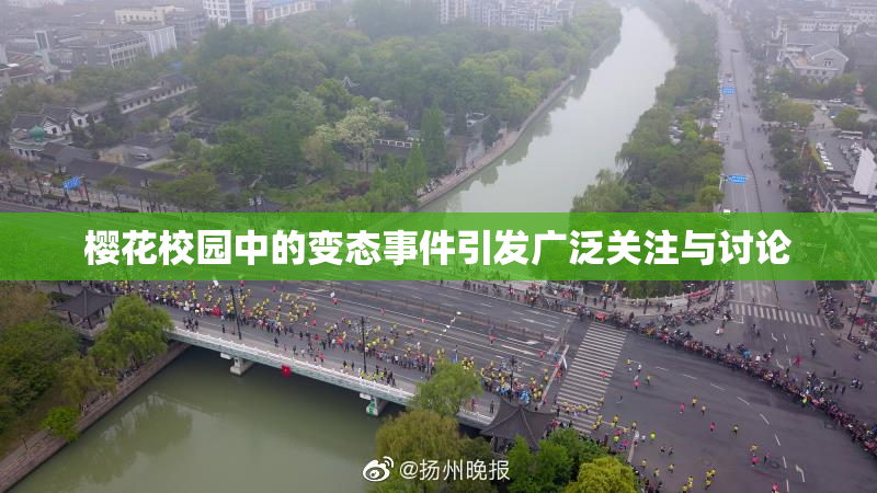 樱花校园中的变态事件引发广泛关注与讨论