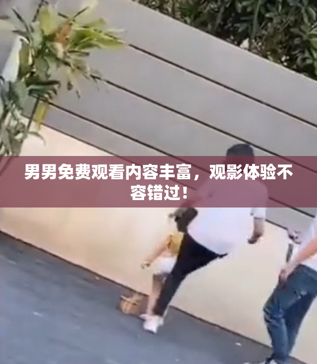 男男免费观看内容丰富，观影体验不容错过！
