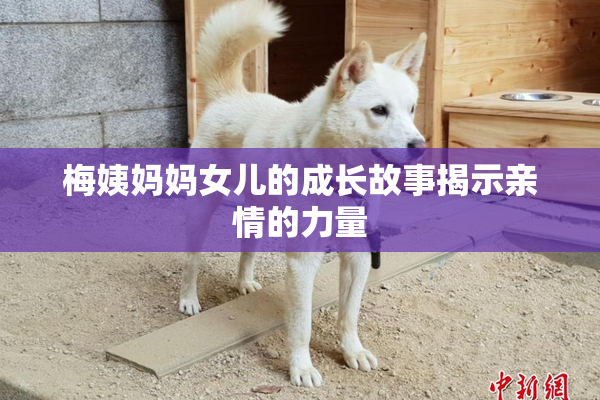 梅姨妈妈女儿的成长故事揭示亲情的力量