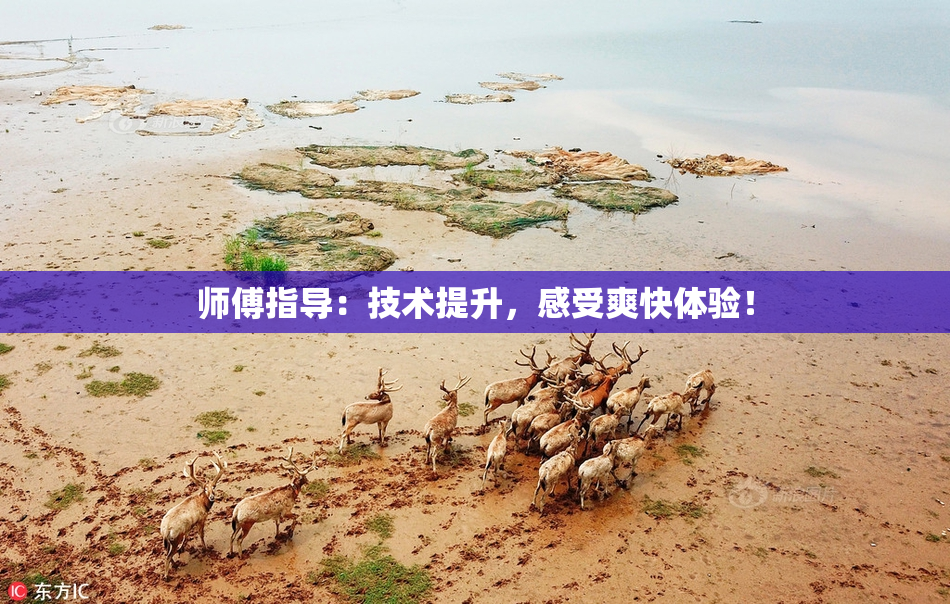 师傅指导：技术提升，感受爽快体验！