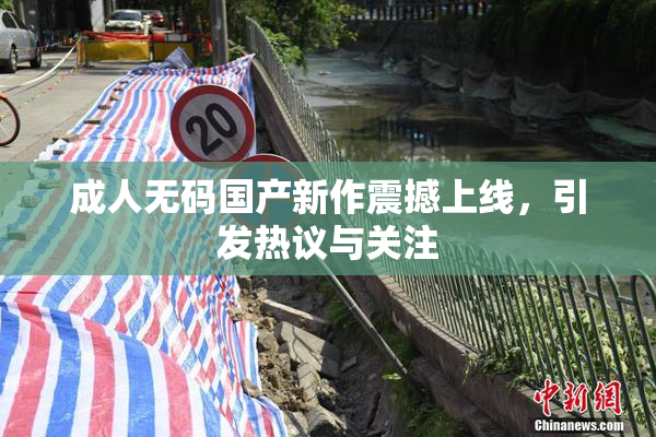 成人无码国产新作震撼上线，引发热议与关注