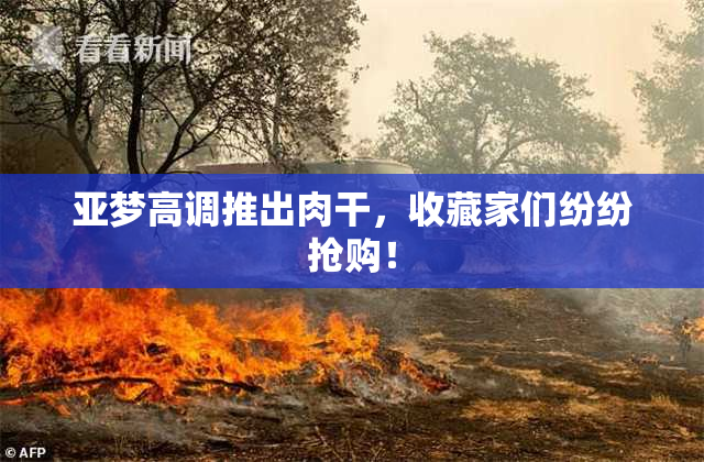 亚梦高调推出肉干，收藏家们纷纷抢购！