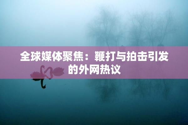 全球媒体聚焦：鞭打与拍击引发的外网热议