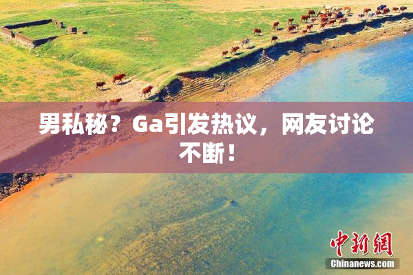 男私秘？Ga引发热议，网友讨论不断！