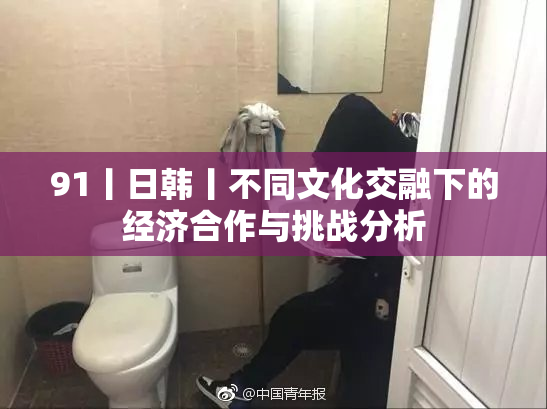 91丨日韩丨不同文化交融下的经济合作与挑战分析