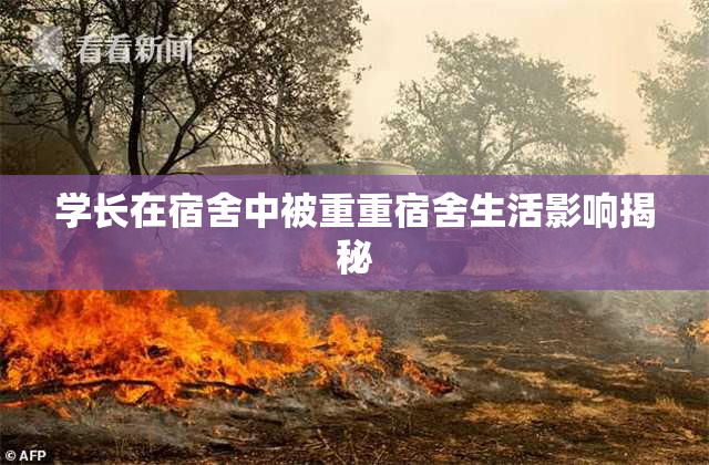 学长在宿舍中被重重宿舍生活影响揭秘