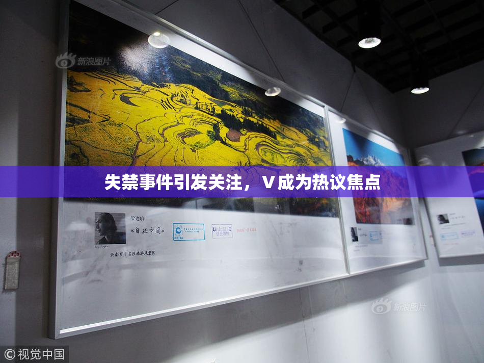 失禁事件引发关注，Ⅴ成为热议焦点