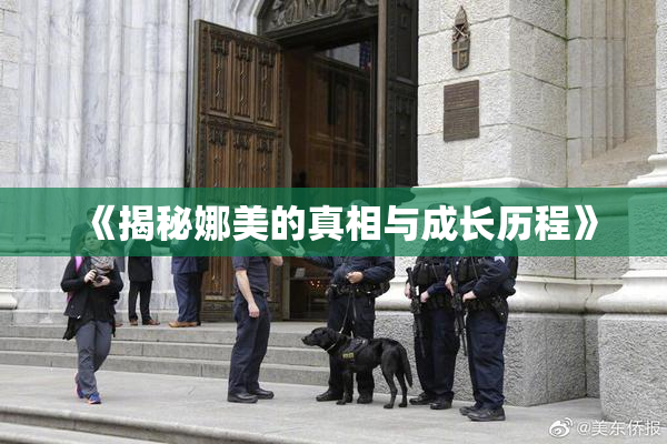 《揭秘娜美的真相与成长历程》