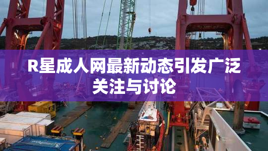 R星成人网最新动态引发广泛关注与讨论