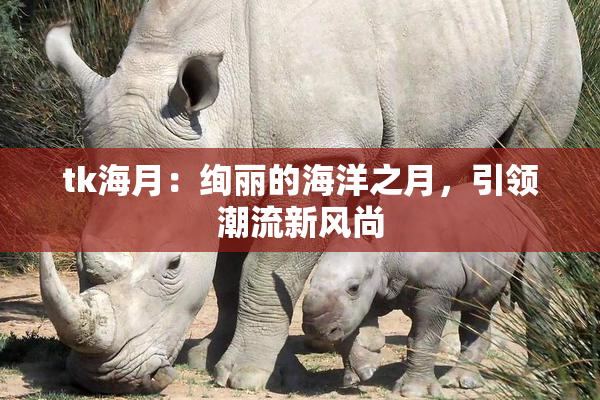 tk海月：绚丽的海洋之月，引领潮流新风尚