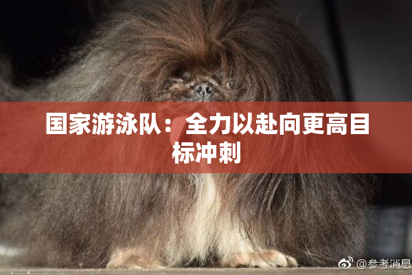 国家游泳队：全力以赴向更高目标冲刺