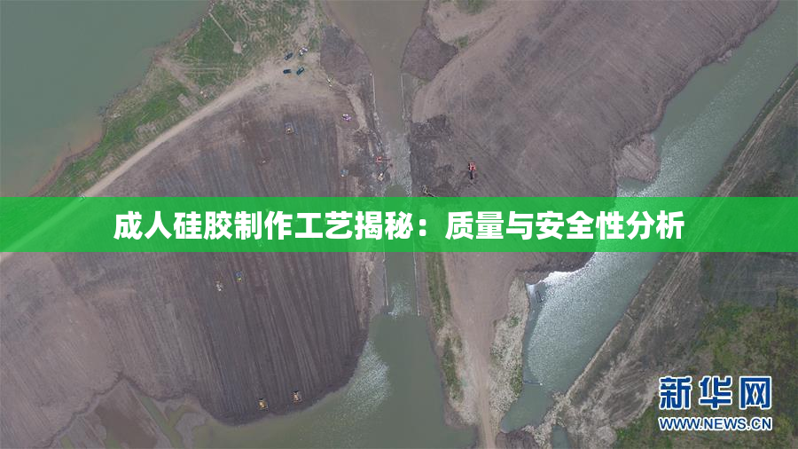 成人硅胶制作工艺揭秘：质量与安全性分析