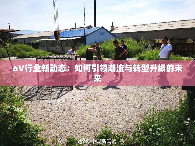 aV行业新动态：如何引领潮流与转型升级的未来