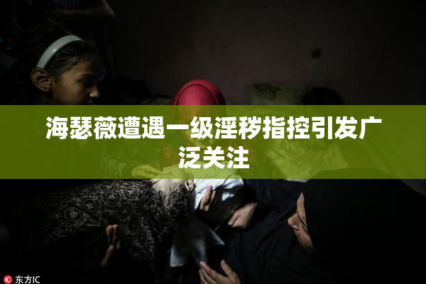 海瑟薇遭遇一级淫秽指控引发广泛关注