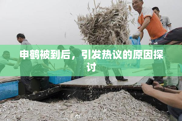 申鹤被到后，引发热议的原因探讨
