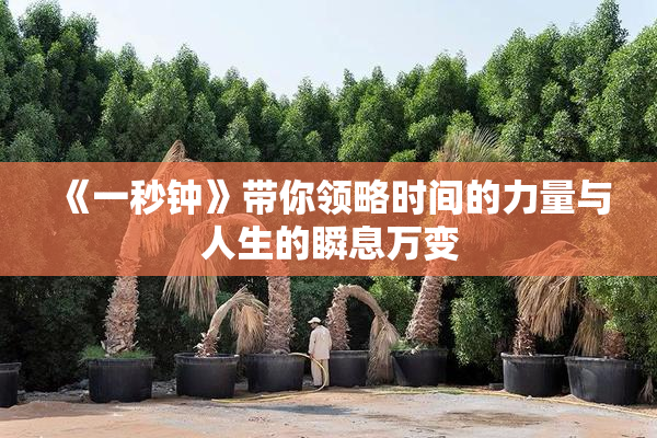 《一秒钟》带你领略时间的力量与人生的瞬息万变