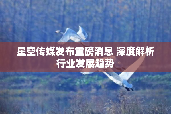 星空传媒发布重磅消息 深度解析行业发展趋势
