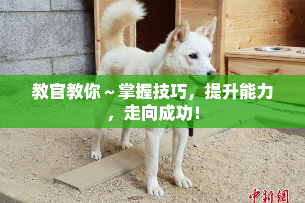 教官教你～掌握技巧，提升能力，走向成功！